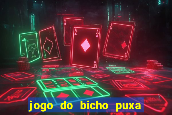 jogo do bicho puxa de dona maria